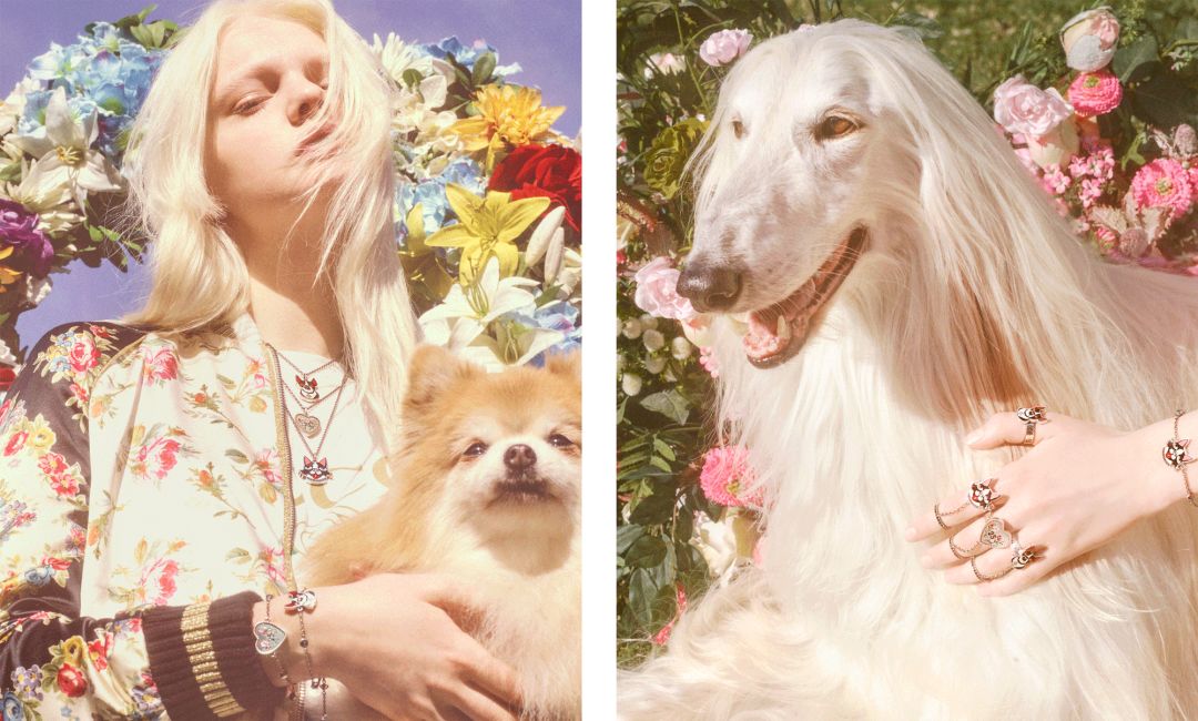 gucci搞怪风,gucci慢动作视频