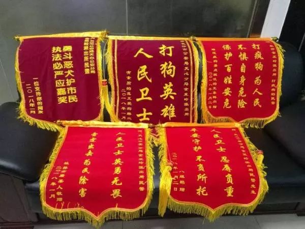 太原打死金毛事件的处理结果,长沙打死金毛事件