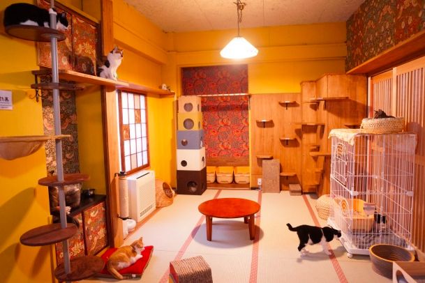 甜蜜蜜暖洋洋：在东京和你的TA去这8个地方TokyoGirls