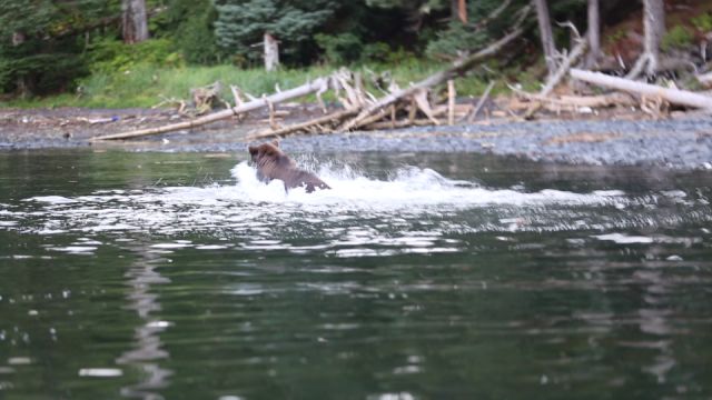 高民环游世界,高民环球旅行