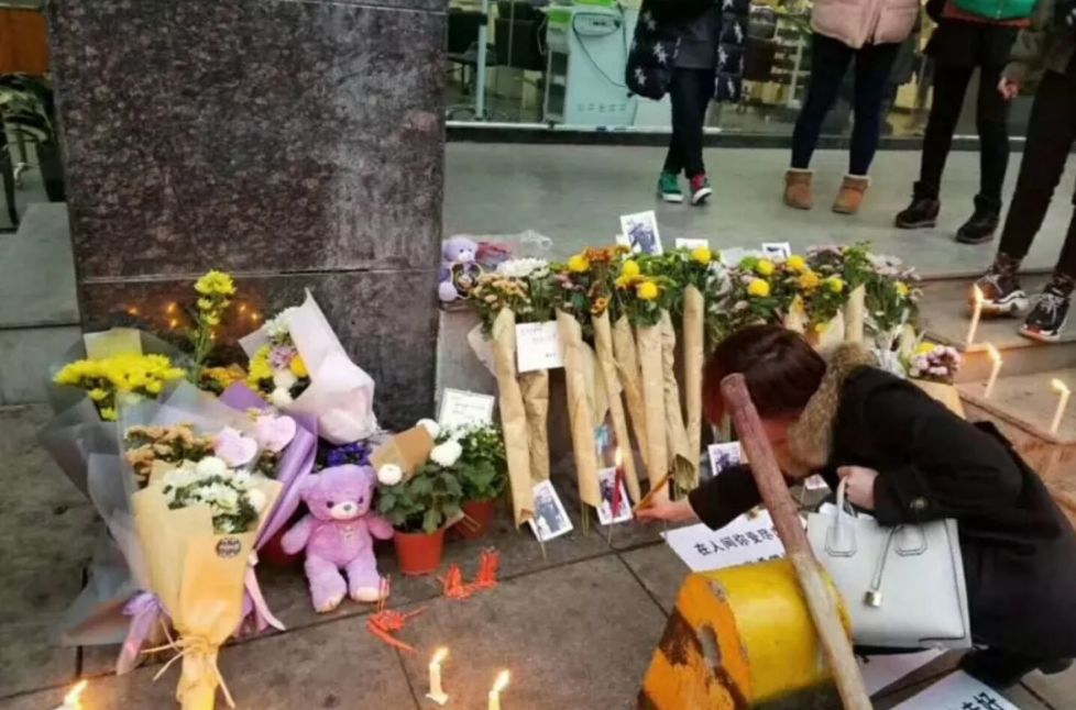 太原打死金毛事件的处理结果,要人命