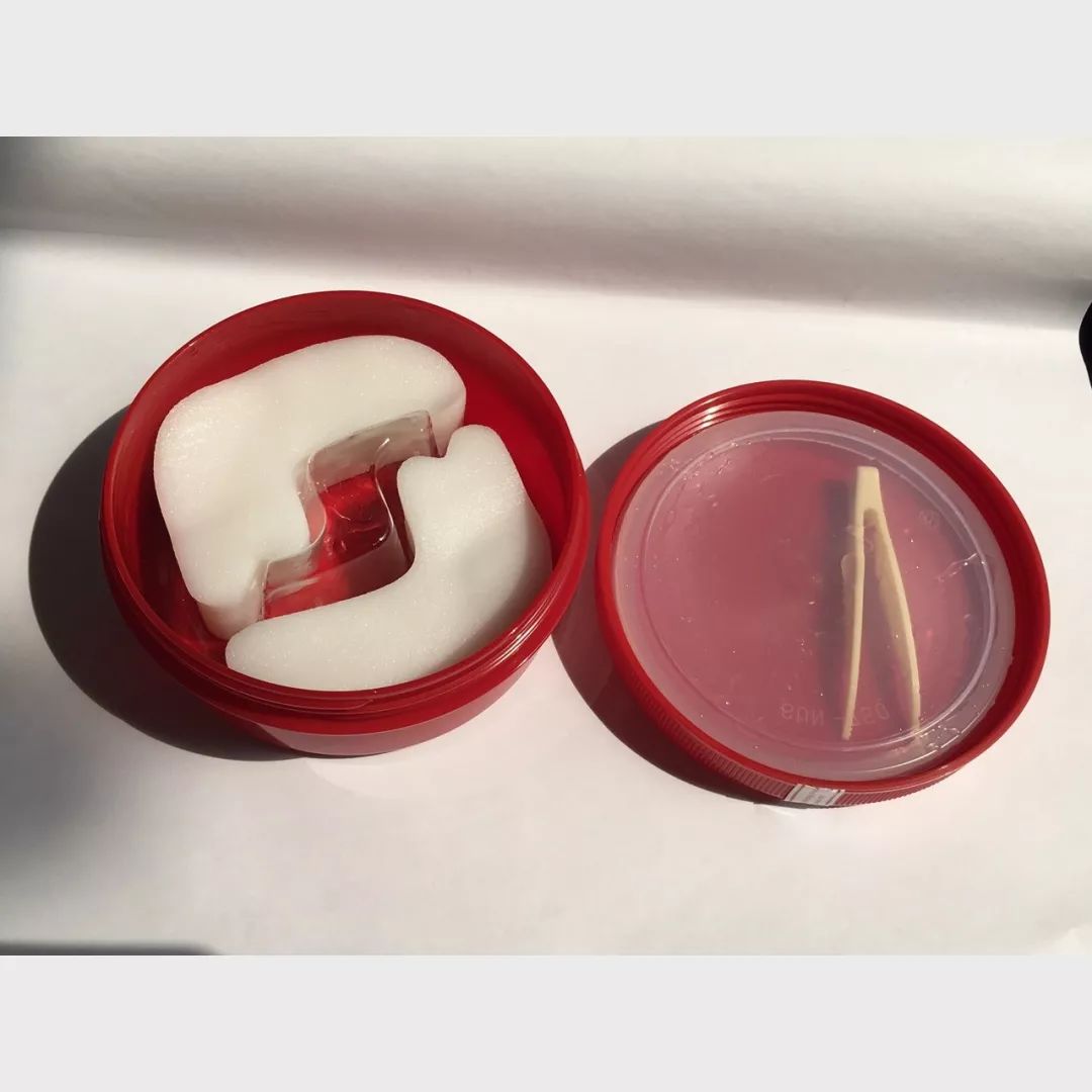 真人秀一个月奖励10万美金,真人秀一分购