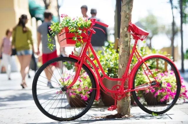 西班牙巴塞罗那旅游全攻略,一月巴塞罗那旅游攻略