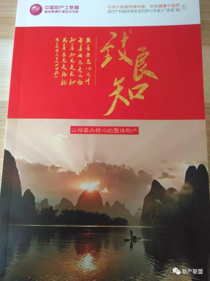 学习阳明心学的成长和感悟怎么写,学习阳明知行合一