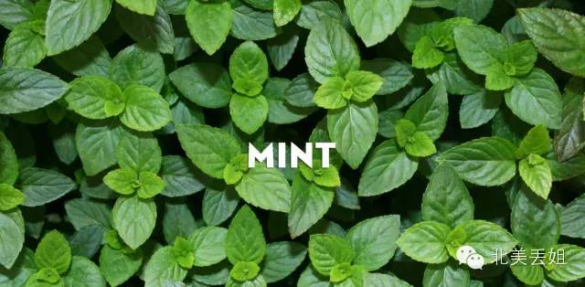 99%的人都不知道的星巴克隐藏菜单,最新星巴克隐藏菜单