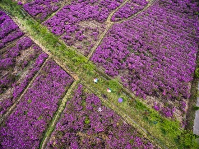 湖州旅游8天全攻略,湖州2020年五一游玩要准备啥