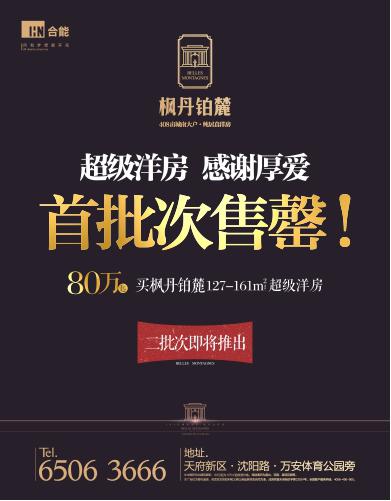 麓山大道枫丹铂麓,合能枫丹铂麓2期开盘价