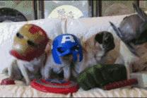 「新品」弹幕红包摇一摇就有Many用点力你就有金砖抱回家