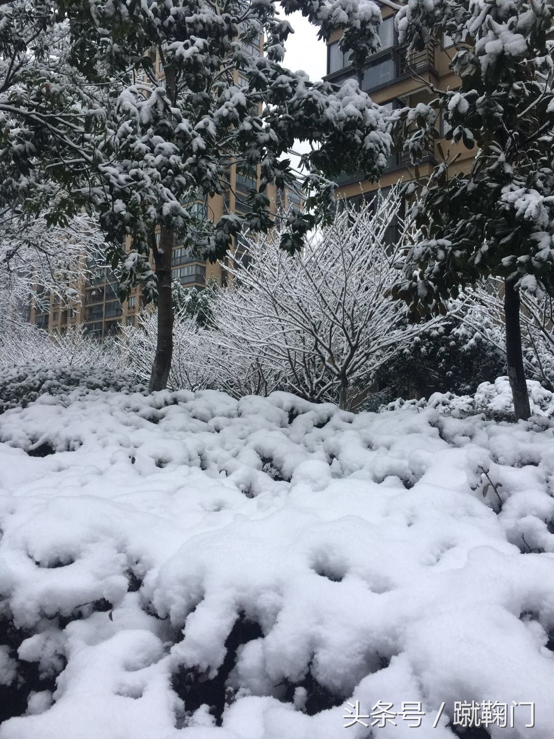 u23亚洲杯韩国爆冷不敌印尼,2018u23亚洲杯下雪