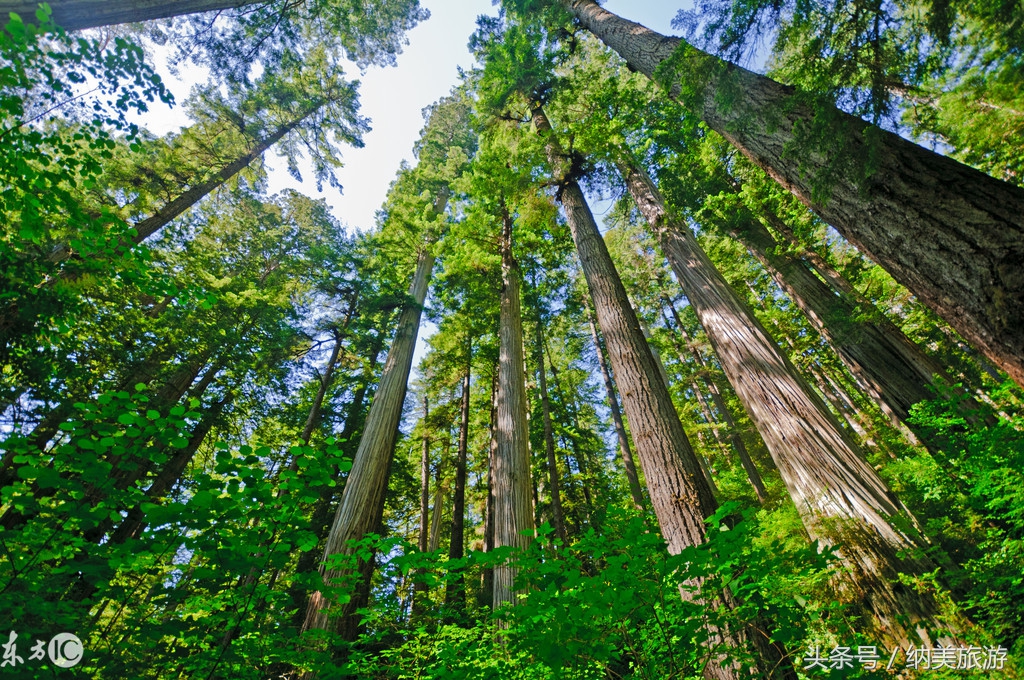 美国旅游自然风景区,美国旅游城市繁华