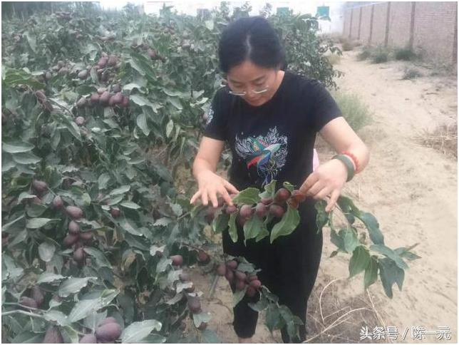 「爱传小子」爱在传递公司诞生了！请看爱在传递的一段传奇经历！