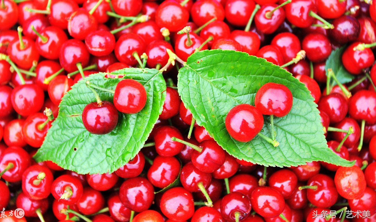 刚做完人流可以吃什么水果最好,做过人流吃什么水果比较好