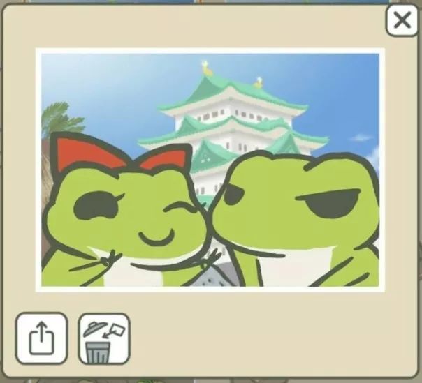 一只蛙的视频,一只蛙