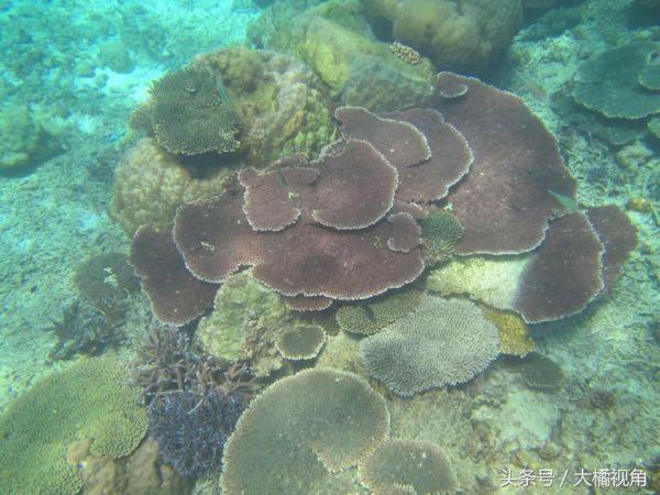 仙本那海岛游玩,仙本那海岛度假