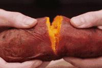 项目和论文不一样的逻辑,项目不同数据不同适合什么图表