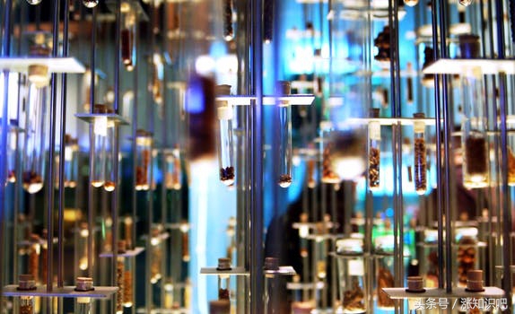 新房入住后头痛、眩晕，多数是过敏，除过敏原很重要！