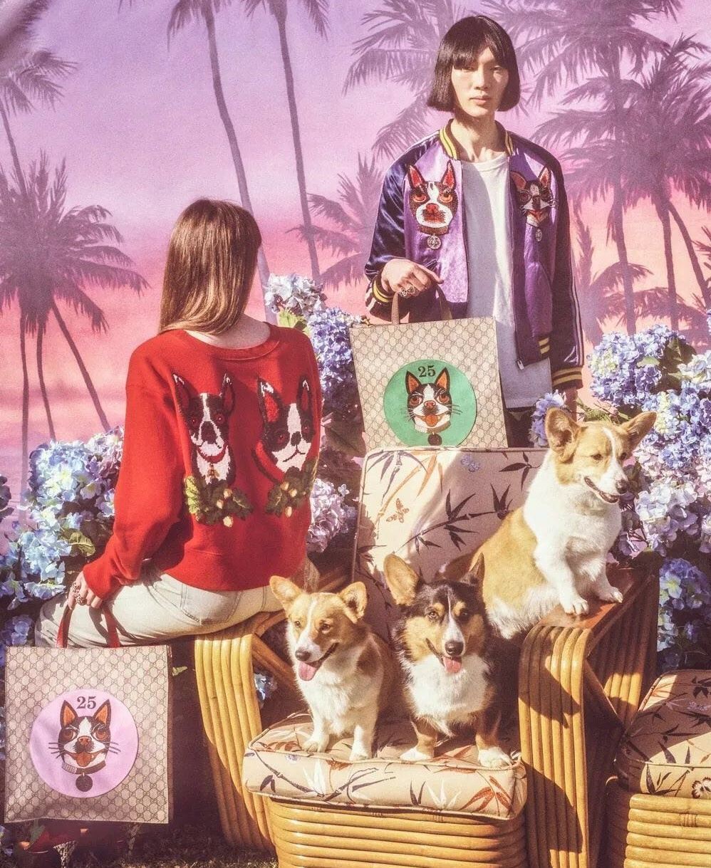 gucci虎年限定图片,gucci狗年版