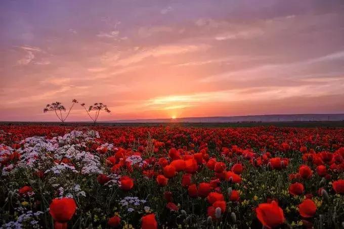 简单摄影教程全集,简单摄影照片教程