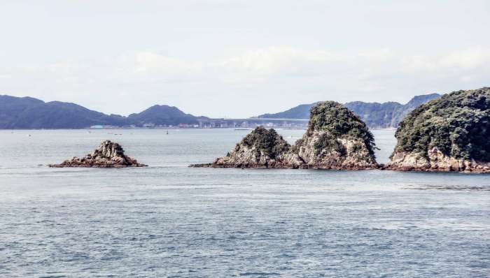 莲二爷美轮环邮——11姑娘的皇家海洋量子号公海飘荡日志