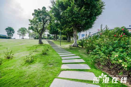 深圳湾公园好玩吗？都有哪些景点？深圳湾公园游玩指南