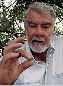 沙弗莱裸石视频,tiffanytsavorite沙弗莱项链