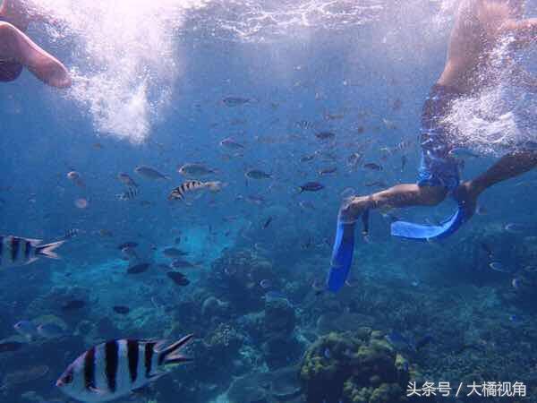 仙本那海岛游玩,仙本那海岛度假