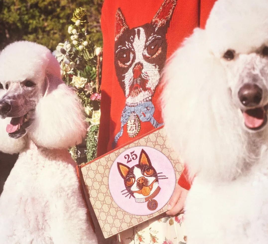 gucci虎年限定图片,gucci狗年版