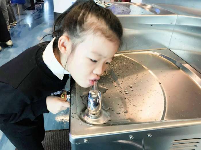 莲二爷美轮环邮——11姑娘的皇家海洋量子号公海飘荡日志