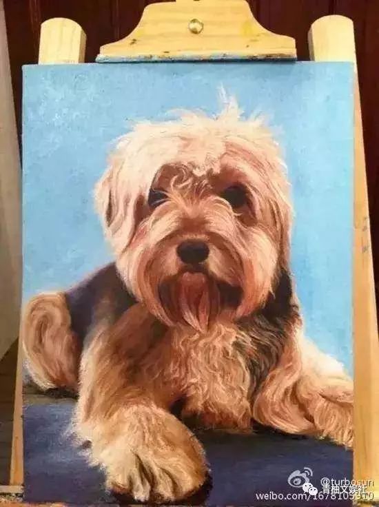 韩雪组装手机、吴彦祖造房子你不知道的明星隐藏技能