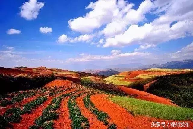 锦州到武汉特价机票,锦州湾机场到上海浦东机场机票