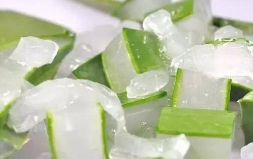 房间放一盆芦荟什么好处,家里养了芦荟可以做什么