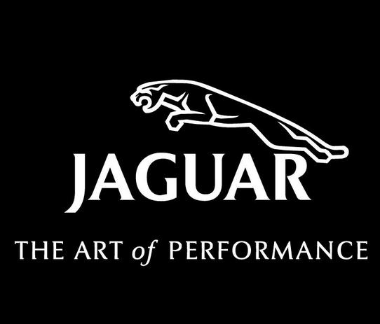 英伦捷豹老款,英伦骑士捷豹