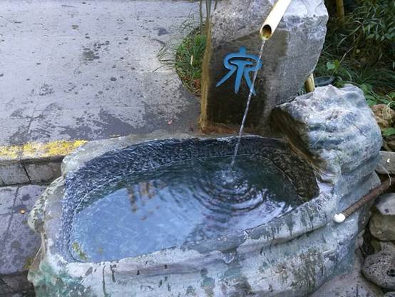 山泉水真的有那么好喝吗,山泉水为什么会很干净