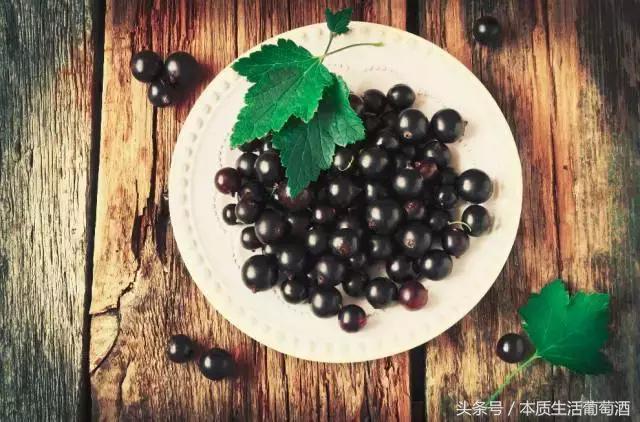 葡萄酒里面有哪些水果,喝葡萄酒前一定要知道的那些事