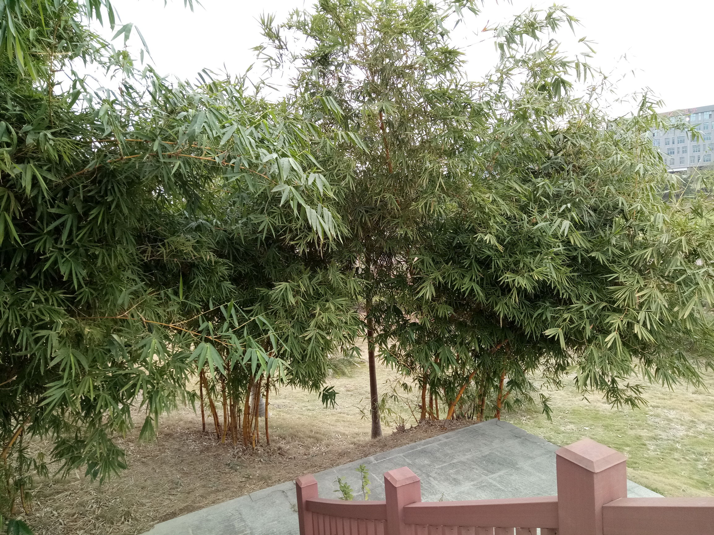 深圳和惠州交界视频,深圳惠州工业区