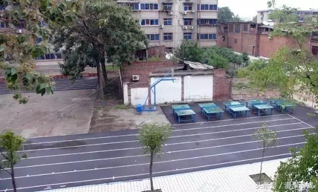 洛阳敬事街小学,回忆校园历史