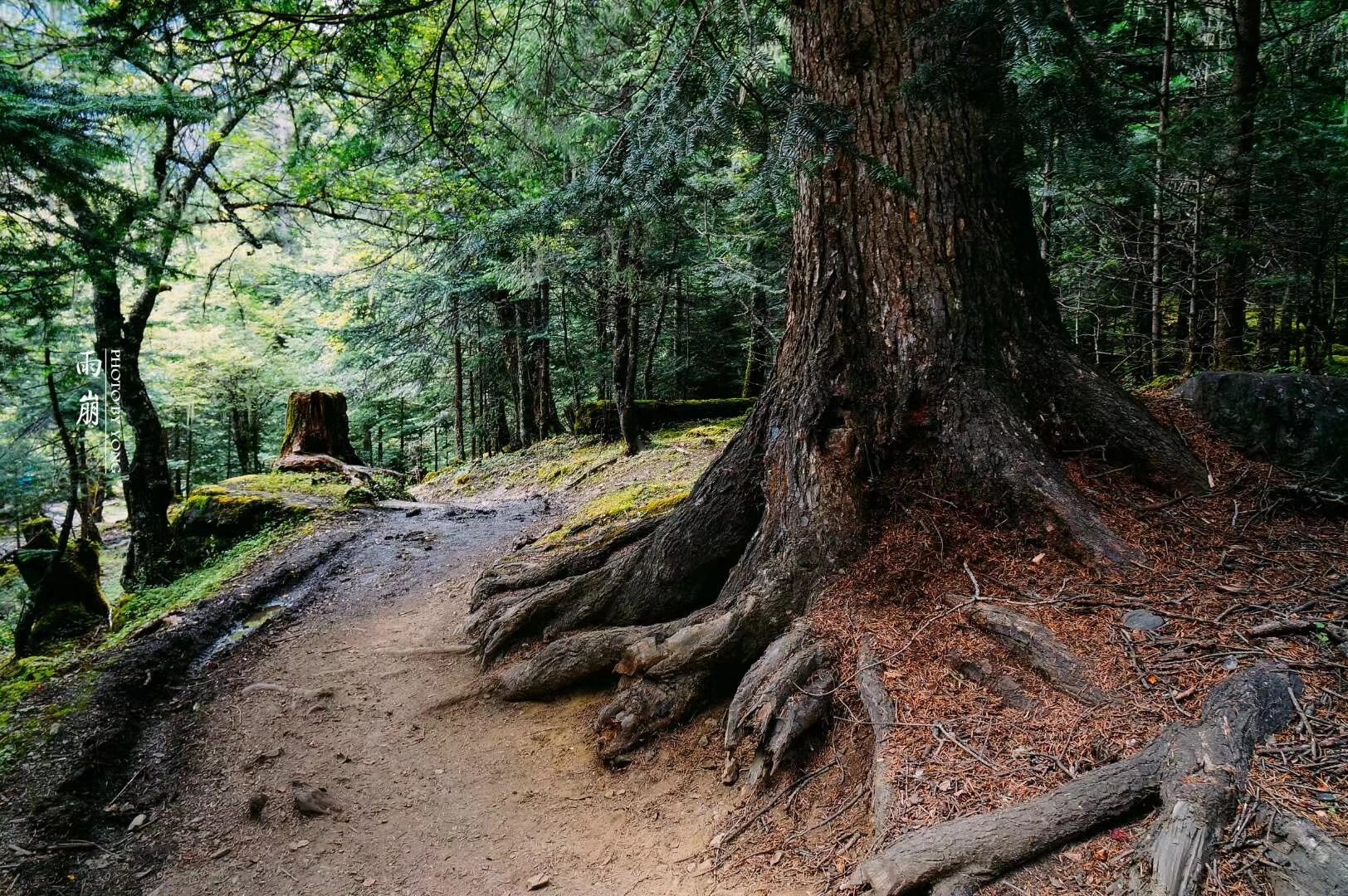 天堂雨崩9完整版,天堂雨崩卡瓦格博