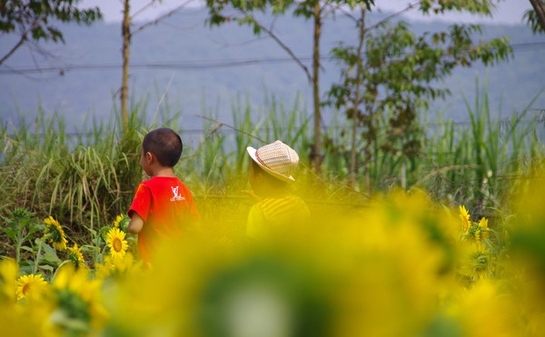春节到了支个招,让“最熟悉的陌生人”成为你的至亲至爱
