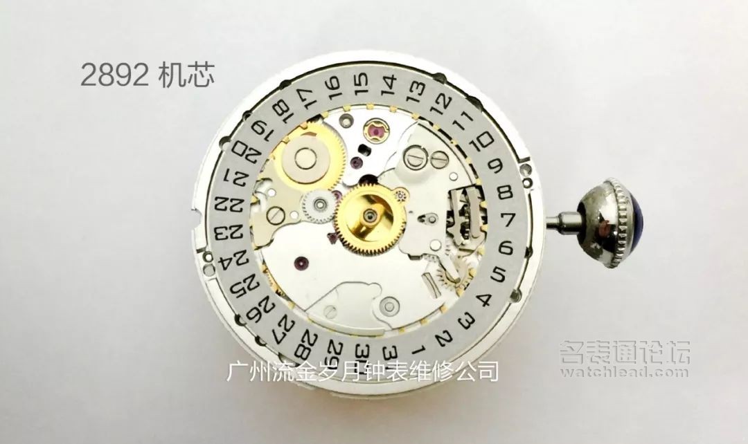 学会修表很简单：零基础也能学会2824、955、2834、2892机芯保养