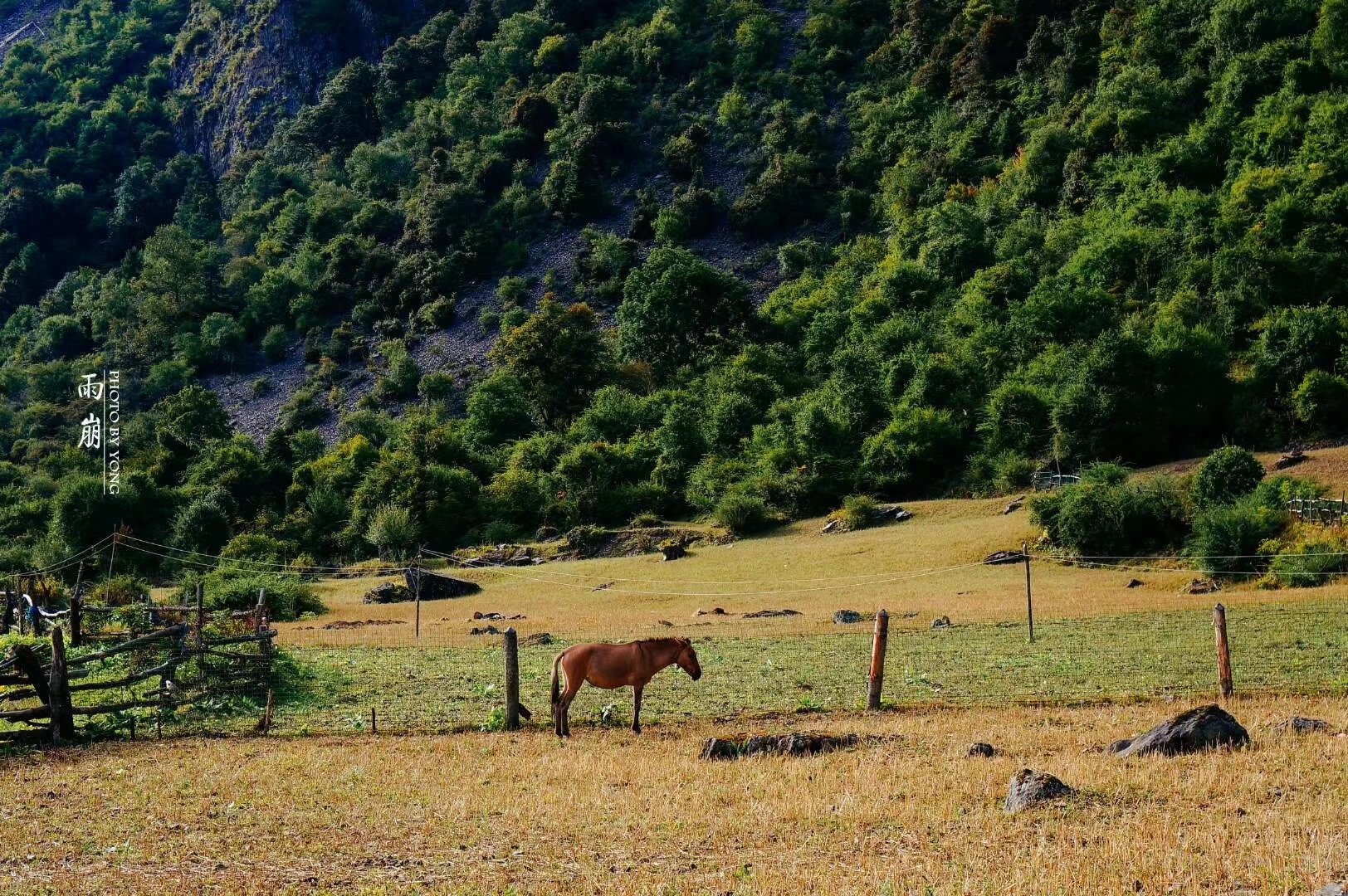天堂雨崩9完整版,天堂雨崩卡瓦格博