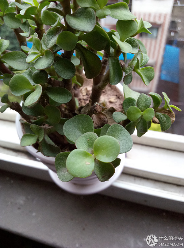 千元机新巅峰魅蓝note3全面评测,魅蓝note3小白测评