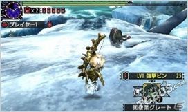 怪物猎人xx怒食恐暴龙,怪物猎人xx配信任务安装