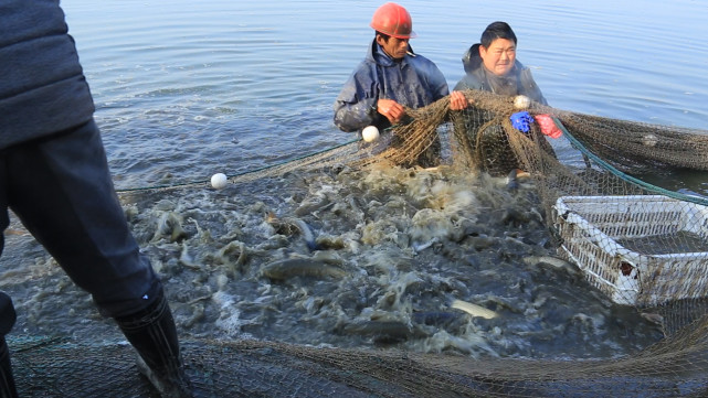 谁说农村不如城里,谁说农村生活不如城里