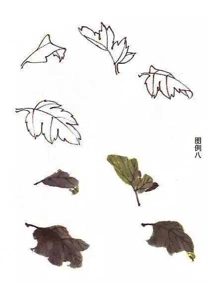 国画菊花画法教学视频,国画入门菊花的画法