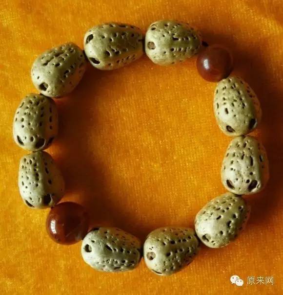 菩提本无树，果实作文玩