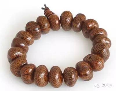 菩提本无树，果实作文玩