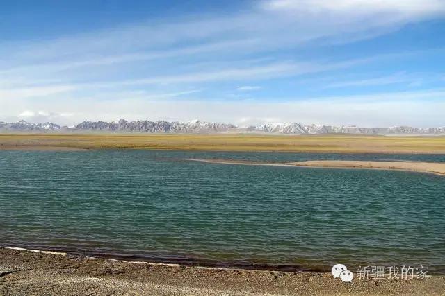 面积是全国最大县，农民收入直逼上海，说的就是*疆新**这个县