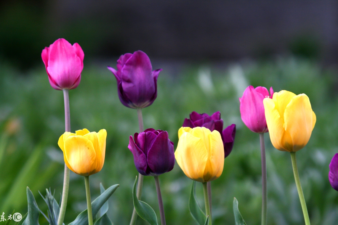 女人最在乎的三种人,不被在乎的三种人
