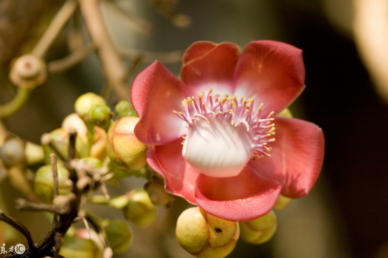 女人最在乎的三种人,不被在乎的三种人