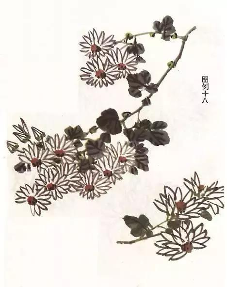 国画菊花画法教学视频,国画入门菊花的画法